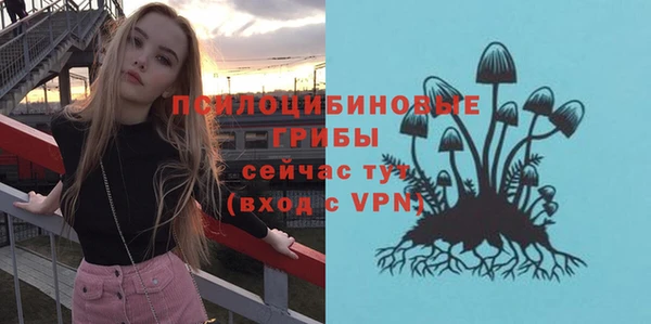МДПВ Бородино