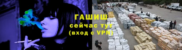 МДПВ Бородино