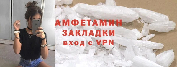 МДПВ Бородино