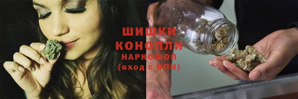 МДПВ Бородино