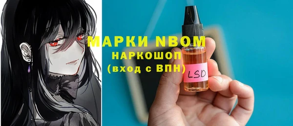 МДПВ Бородино