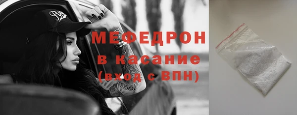 МДПВ Бородино