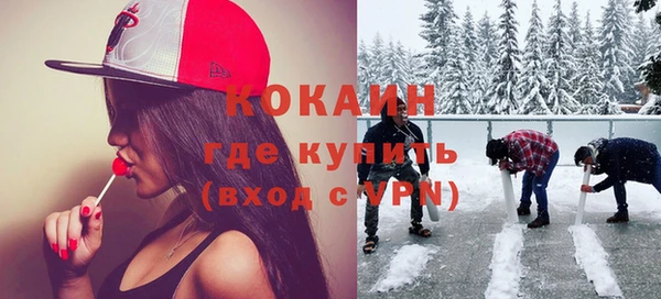 МДПВ Бородино