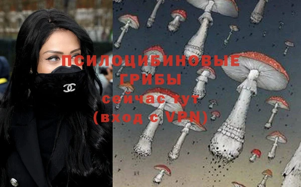 МДПВ Бородино