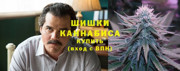 МДПВ Бородино