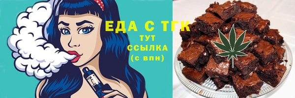 МДПВ Бородино