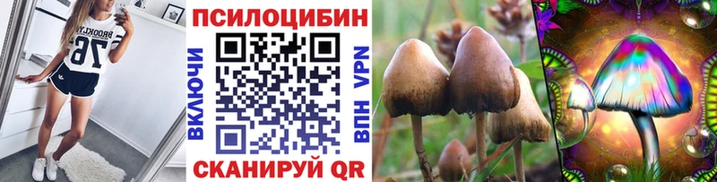 где купить наркоту Чёрмоз Псилоцибиновые грибы Magic Shrooms